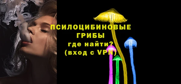 тгк Алзамай